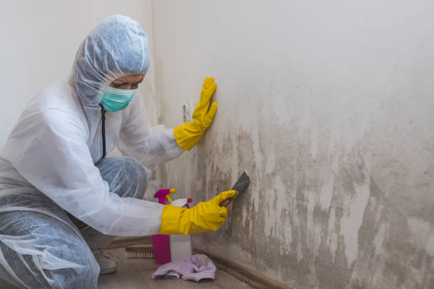 Best Mold Remediation for Specific Building Types in Auberry, CA