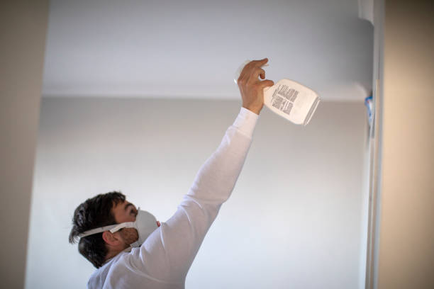 Best Insurance-Related Mold Remediation in Auberry, CA