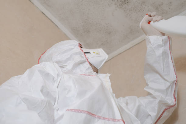 Best Crawl Space Mold Remediation in Auberry, CA
